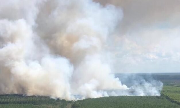 LOGRAN CONTROLAR INCENDIOS EN ITUZAINGÓ