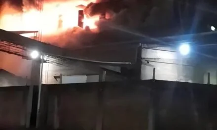 SUSTO EN PLENO CENTRO DE ARISTÓBULO DEL VALLE