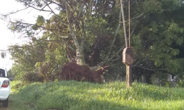 TORMENTA REPENTINA DEJO SIN LUZ A ARISTÓBULO DEL VALLE