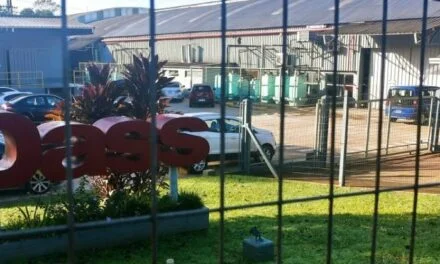 FÁBRICA DE ZAPATILLAS DE ELDORADO SUSPENDIÓ JORNADA LABORAL POR FALTA DE INSUMOS