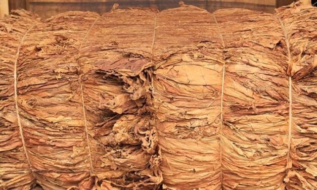 “UNA VERGÜENZA QUE TENIENDO TABACO TENGAMOS QUE COMPRARLO EN TUCUMÁN, ES UNA LOCURA”