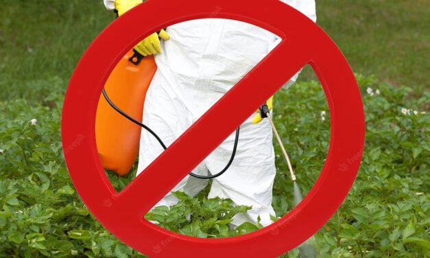 PRETENDEN ELIMINAR USO DE GLIFOSATO EN MISIONES