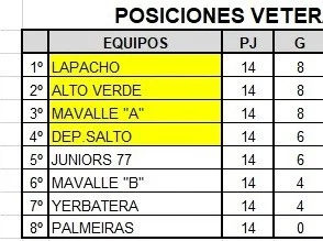 TIEMPO DE SEMIFINALES EN LA LIGA DE VETERANOS DE LI.S.E.F.A.