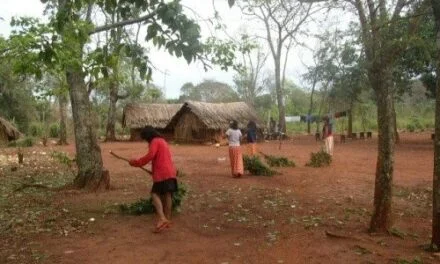 “TODAVÍA HAY BASTANTE PREJUICIO HACIA LAS FAMILIAS DE LA COMUNIDAD MBYA GUARANÍ”