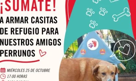 CONVIERTEN CARTELES POLÍTICOS EN REFUGIOS PARA PERROS