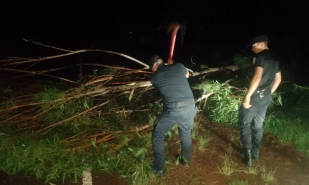 EL TEMPORAL GENERÓ VARIOS DAÑOS EN LA ZONA CENTRO
