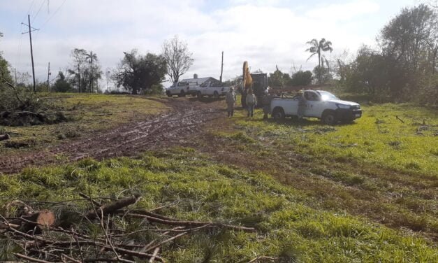 RESTABLECIERON EL 100% DE LOS SERVICIOS EN DOS DE MAYO