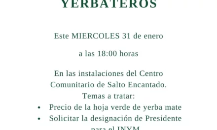SUSPENDEN LA COSECHA DE YERBA PARA MEJOR EL PRECIO