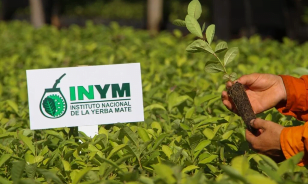 EL SECRETARIO DE AGRICULTURA TENDRÍA DEFINIDO QUIEN SERÁ EL PRESIDENTE DEL INYM