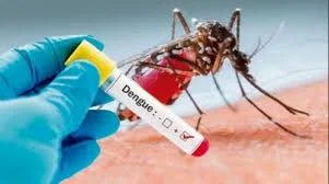 OTRA VÍCTIMA DEL DENGUE EN MISIONES
