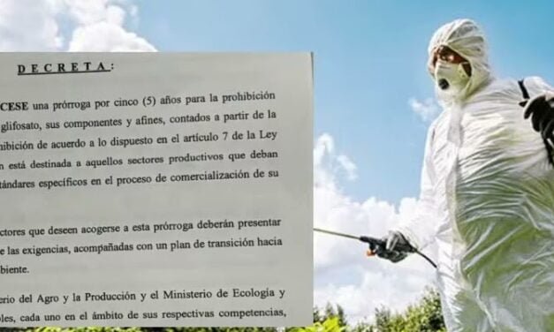 “ES LA SALIDA MÁS DECOROSA, LA MARCHA ATRÁS QUE TUVIERON QUE TOMAR”