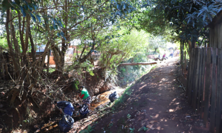 TRABAJAN EN LA LIMPIEZA DEL ARROYO PAJARITO