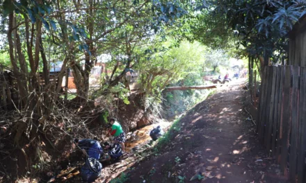 TRABAJAN EN LA LIMPIEZA DEL ARROYO PAJARITO