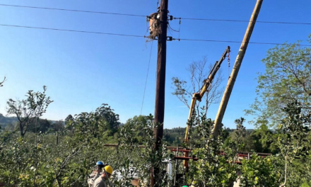 LA COOPERATIVA CAINGUÁS TRABAJA PARA NORMALIZAR EL SERVICIO ELÉCTRICO LUEGO DE LA TORMENTA