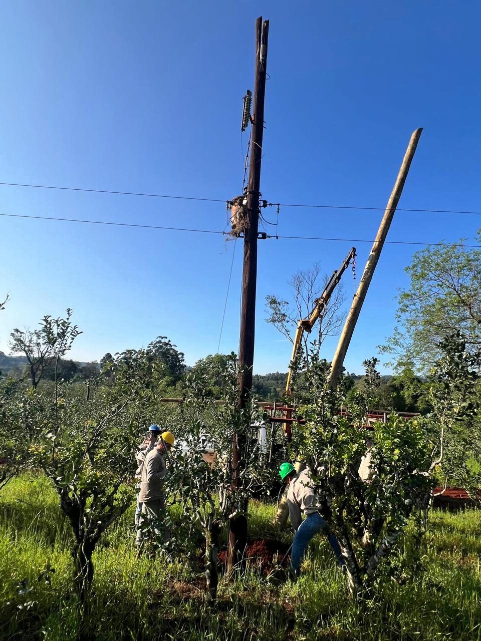 LA COOPERATIVA CAINGUÁS TRABAJA PARA NORMALIZAR EL SERVICIO ELÉCTRICO ...