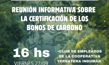 ES GRAVE LO QUE ESTÁ HACIENDO LA PROVINCIA CON LOS BONOS DE CARBÓN