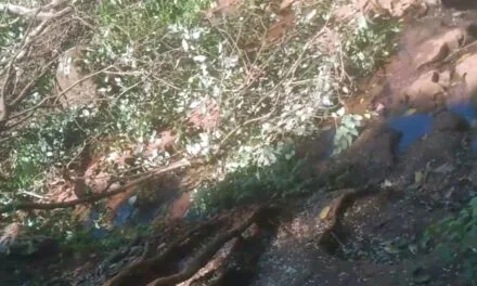 QUEJA DE VECINOS DEL BARRIO LOS PINOS