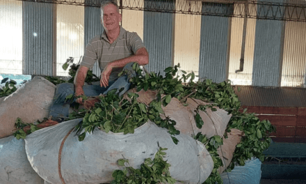 “UN PAQUETE DE YERBA DE 1 KILO QUE SE PRODUCE EN MISIONES CUESTA 7 U 8% MÁS QUE PRODUCIRLO EN CORRIENTES”