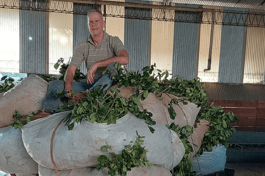 “UN PAQUETE DE YERBA DE 1 KILO QUE SE PRODUCE EN MISIONES CUESTA 7 U 8% MÁS QUE PRODUCIRLO EN CORRIENTES”