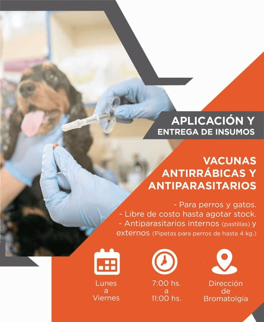 APLICACIÓN Y ENTREGA DE VACUNAS PARA PERROS Y GATOS