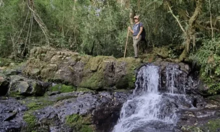 “EXPERIENCIAS DEL SALTO” PARA CONOCER, RESPETAR, Y VALORAR LA BIODIVERSIDAD DE LA TIERRA COLORADA