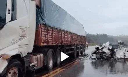 CAMIONERO ORIUNDO DE ARISTÓBULO DEL VALLE IMPLICADO EN ACCIDENTE FATAL