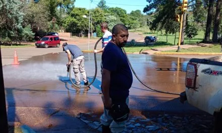 POR CULPA DE LAS GALLINAS
