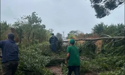 LA TORMENTA CAUSÓ DAÑOS CONSIDERABLES EN CERRO MORENO