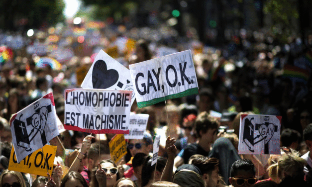 CRÍTICAS DESDE LA COMUNIDAD LGBT A DESVIACIONES Y EXCESOS DEL MOVIMIENTO