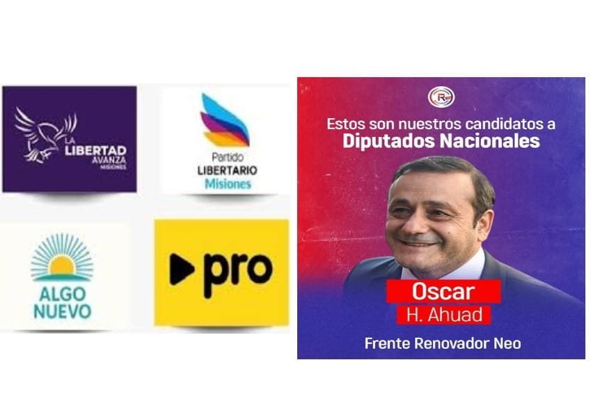 ELECCIONES DE OCTUBRE: LA LIBERTAD AVANZA INCORPORÓ MEJOR, PERO LA RENOVACIÓN TIENE AL MEJOR CANDIDATO