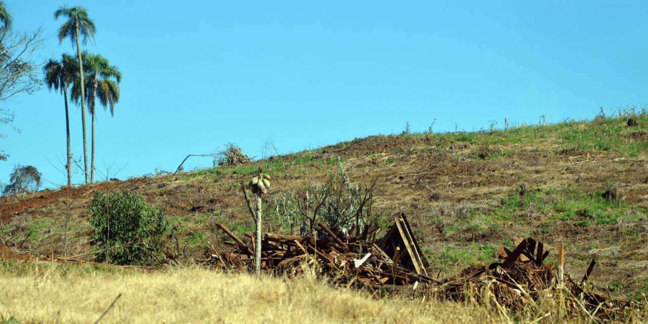 FUERTE CUESTIONAMIENTO AL GOBIERNO PROVINCIAL POR DESMONTES