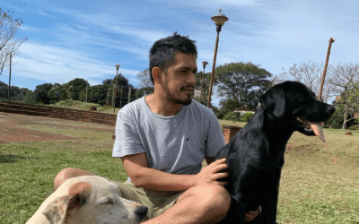 EN UNOS AÑOS PODRÍAN EXISTIR MÁS PERROS QUE PERSONAS EN ARISTÓBULO DEL VALLE SI NO HAY CONTROL POBLACIONAL