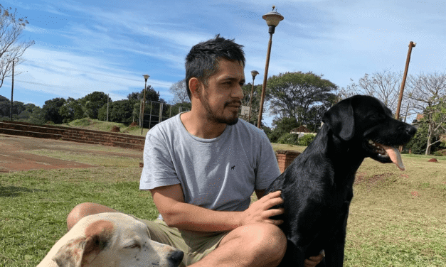 EN UNOS AÑOS PODRÍAN EXISTIR MÁS PERROS QUE PERSONAS EN ARISTÓBULO DEL VALLE SI NO HAY CONTROL POBLACIONAL