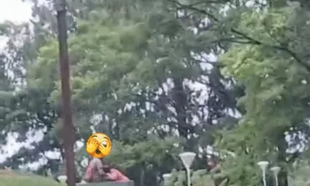 DEMASIADO APASIONADOS A LA LUZ DEL DÍA Y EN LA PLAZA MÁS CONCURRIDA