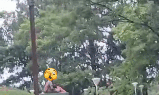 DEMASIADO APASIONADOS A LA LUZ DEL DÍA Y EN LA PLAZA MÁS CONCURRIDA