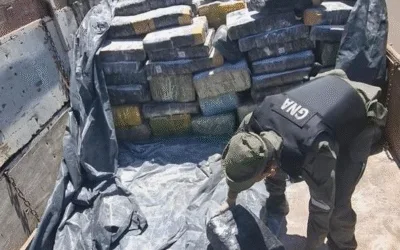 EN MISIONES LOGRARON LA INCAUTACIÓN DE DROGA MÁS GRANDE DE LA HISTORIA ARGENTINA
