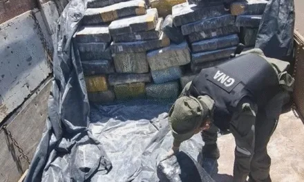 EN MISIONES LOGRARON LA INCAUTACIÓN DE DROGA MÁS GRANDE DE LA HISTORIA ARGENTINA