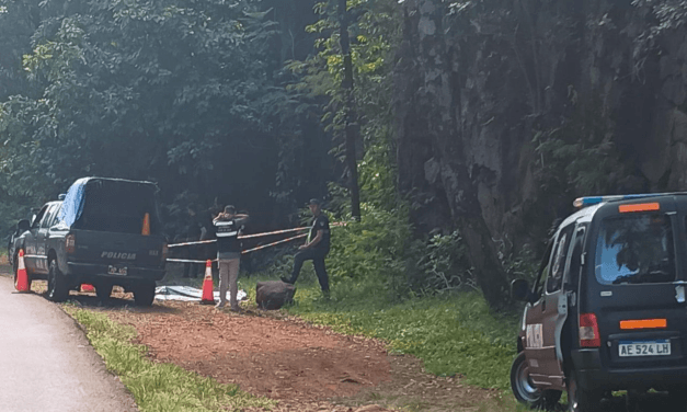 INVESTIGAN HALLAZGO DE UNA MUJER SIN VIDA EN MIRADOR DE RUTA 7