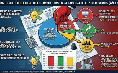 EL PESO DE LOS IMPUESTOS EN LA FACTURA DE LUZ EN MISIONES
