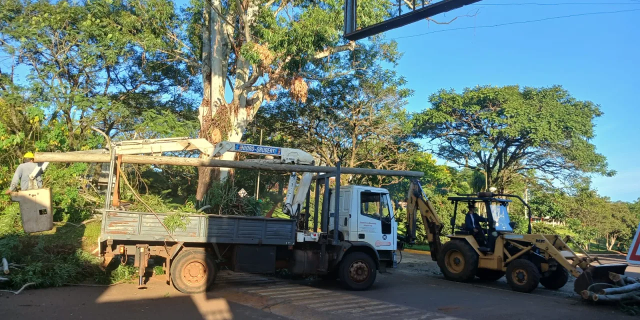 OPERATIVO DE PODA PREVENTIVA: TRABAJO CONJUNTO PARA GARANTIZAR LA SEGURIDAD VIAL Y DEL TENDIDO ELÉCTRICO