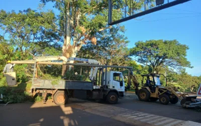 OPERATIVO DE PODA PREVENTIVA: TRABAJO CONJUNTO PARA GARANTIZAR LA SEGURIDAD VIAL Y DEL TENDIDO ELÉCTRICO