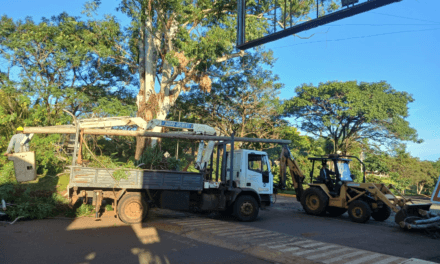 OPERATIVO DE PODA PREVENTIVA: TRABAJO CONJUNTO PARA GARANTIZAR LA SEGURIDAD VIAL Y DEL TENDIDO ELÉCTRICO