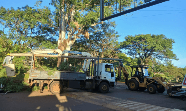 OPERATIVO DE PODA PREVENTIVA: TRABAJO CONJUNTO PARA GARANTIZAR LA SEGURIDAD VIAL Y DEL TENDIDO ELÉCTRICO