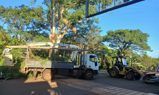 OPERATIVO DE PODA PREVENTIVA: TRABAJO CONJUNTO PARA GARANTIZAR LA SEGURIDAD VIAL Y DEL TENDIDO ELÉCTRICO