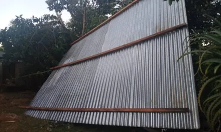 LAS FUERTES RÁFAGAS DE VIENTO CAUSAN DAÑOS EN ARISTÓBULO DEL VALLE: HAY CASAS DESTECHADAS E INTERRUPCION DE SERVICIOS EN ALGUNAS ZONAS  